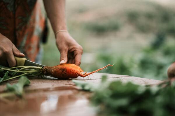 Farming